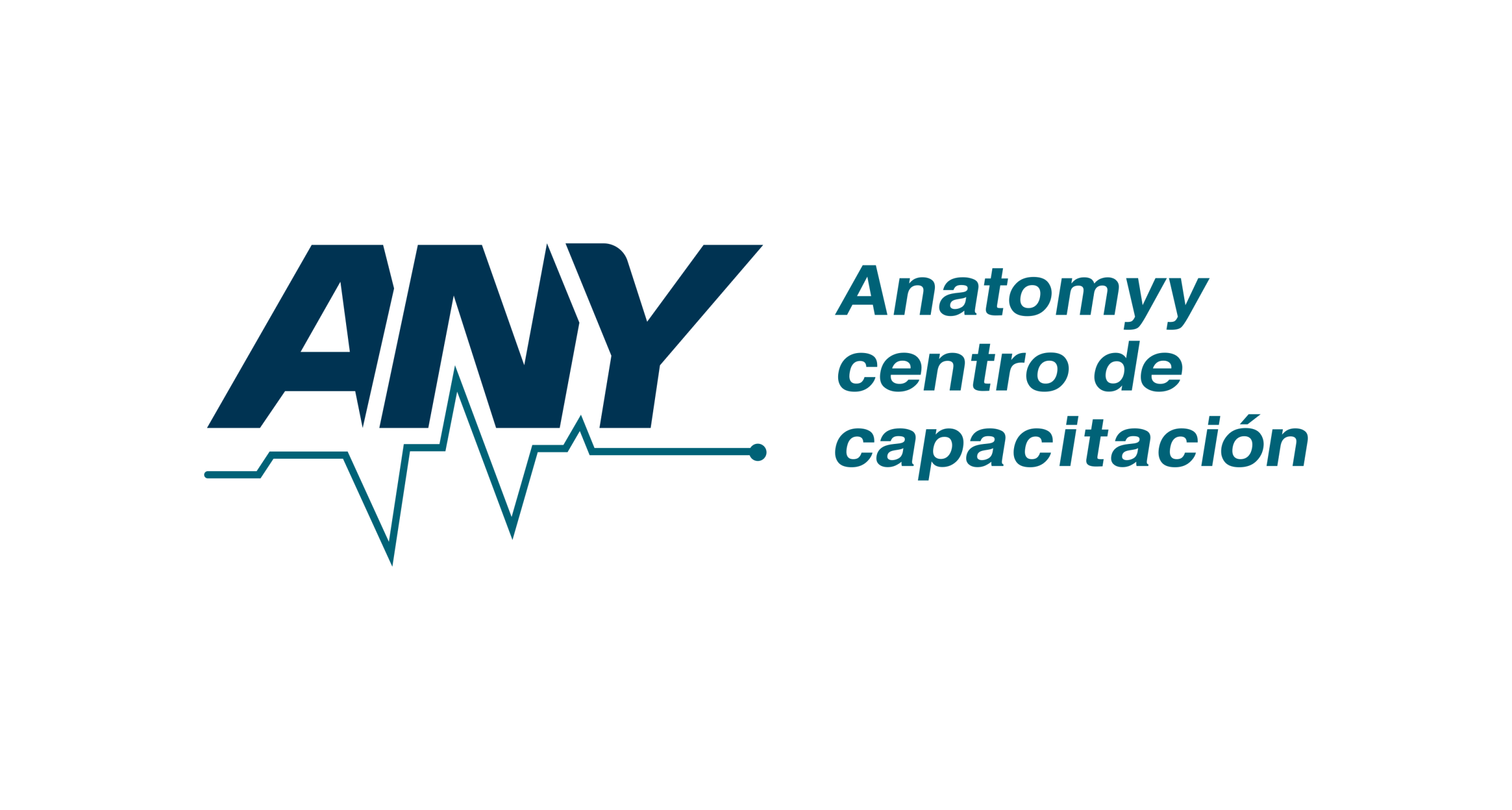 ANY ANATOMYY