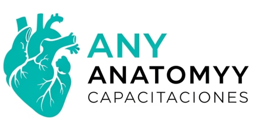 ANY ANATOMMY